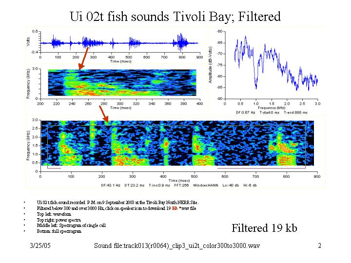 Filtered Unknown fish sound